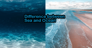 Difference between Sea and Ocean