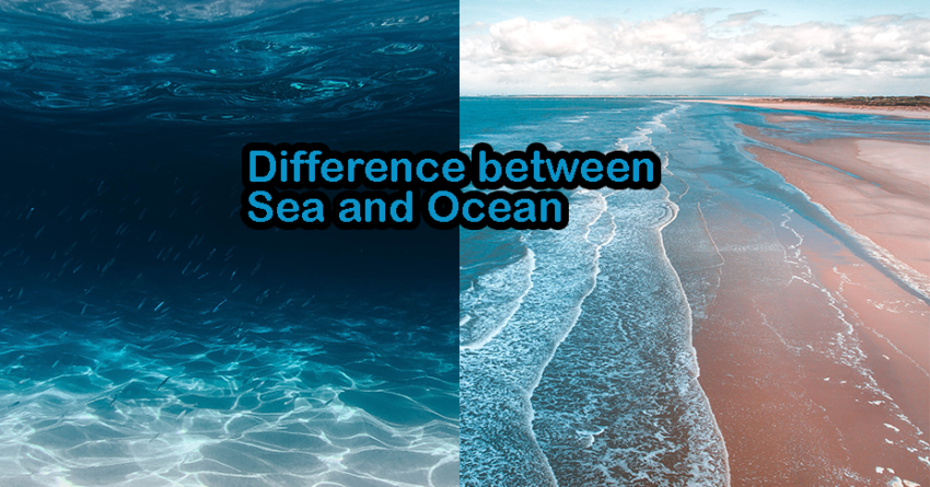 Difference between Sea and Ocean