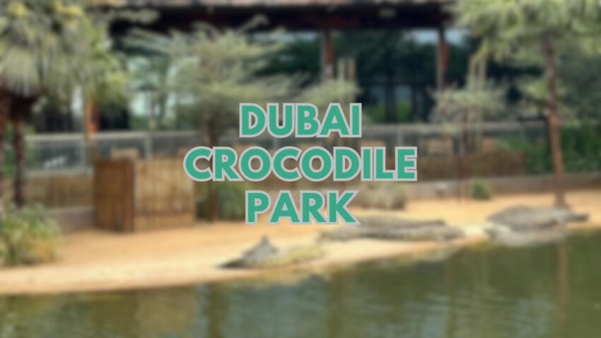 Dubai Crocodile Park