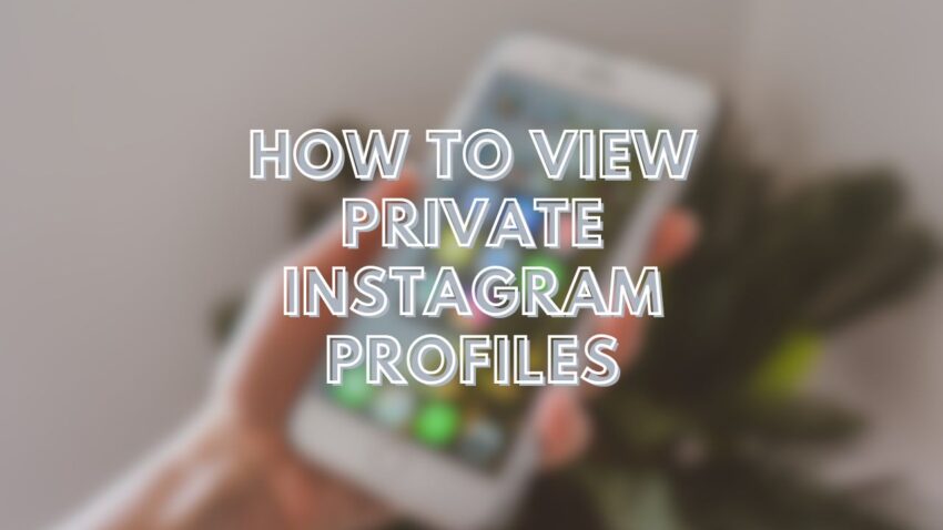 How to View Private Instagram Profiles